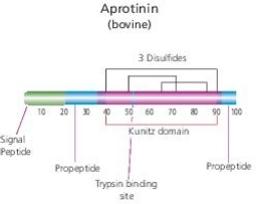 Aprotinin from bovine lung - Merck KGaA, Darmstadt, Germany - Life Sciences