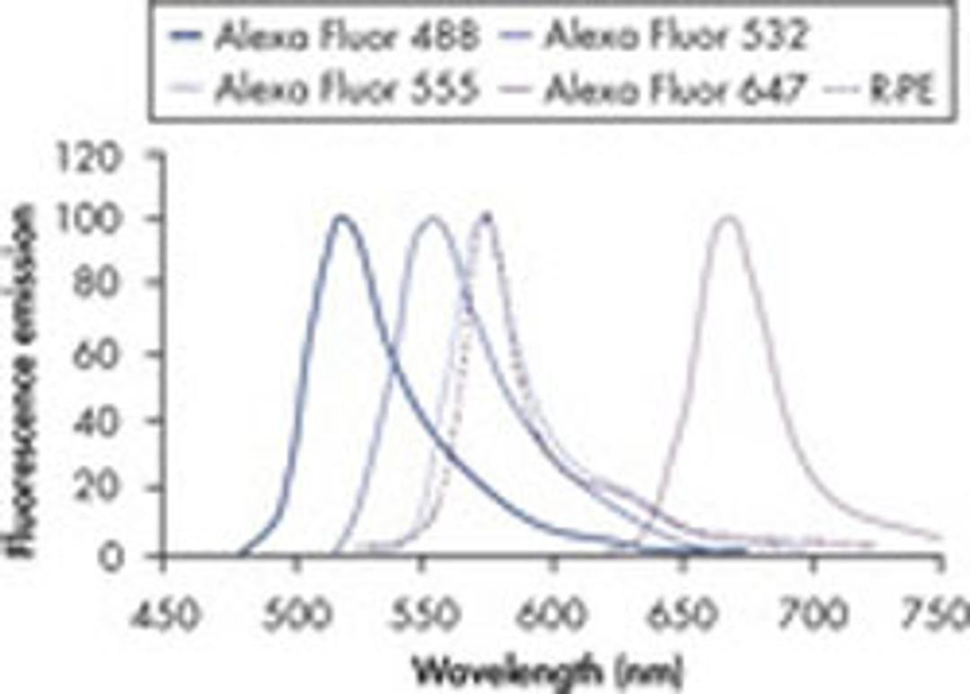 Penta·His Alexa Fluor 488 Conjugate - QIAGEN