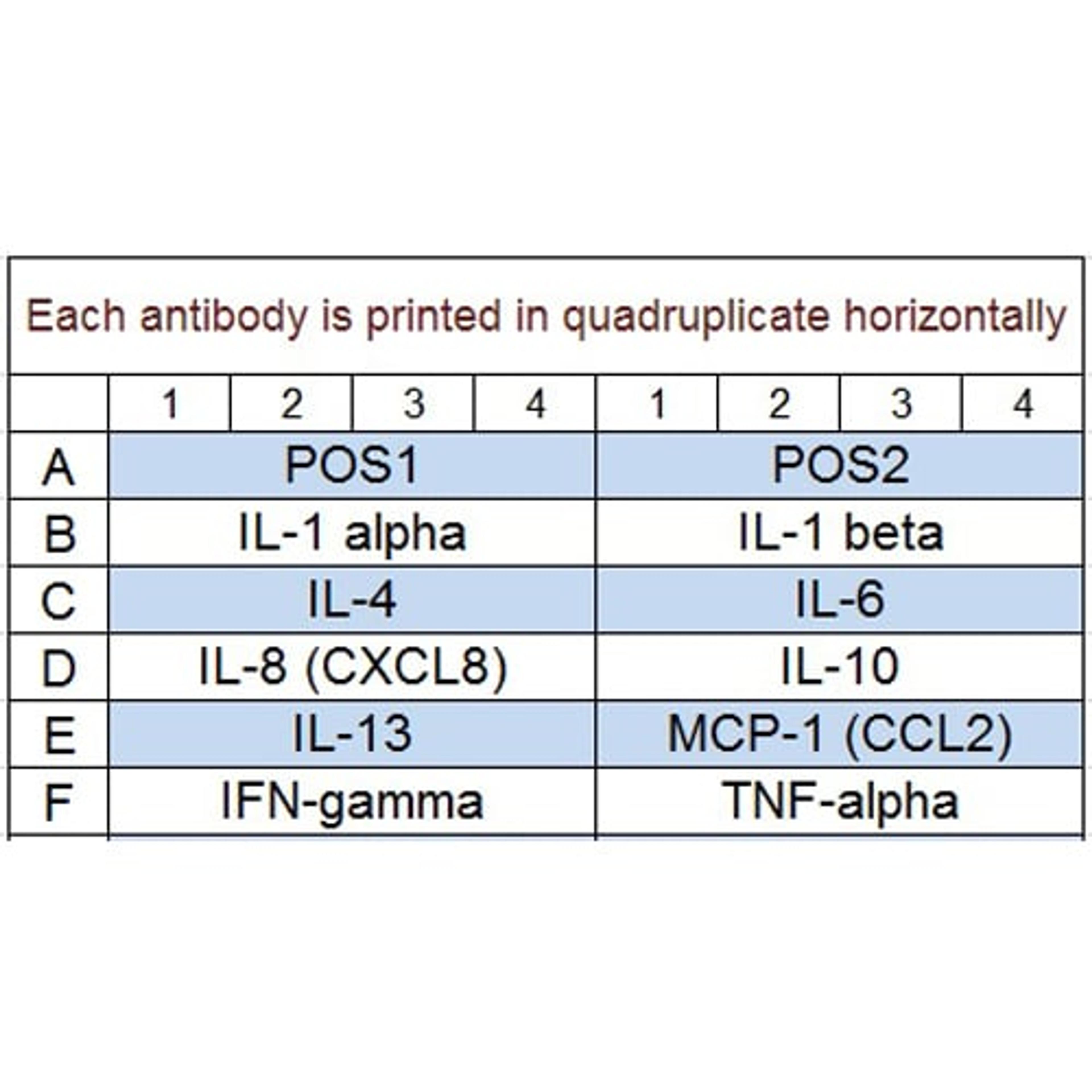 Human Inflammation Array Q1 - RayBiotech Inc. - Life Sciences
