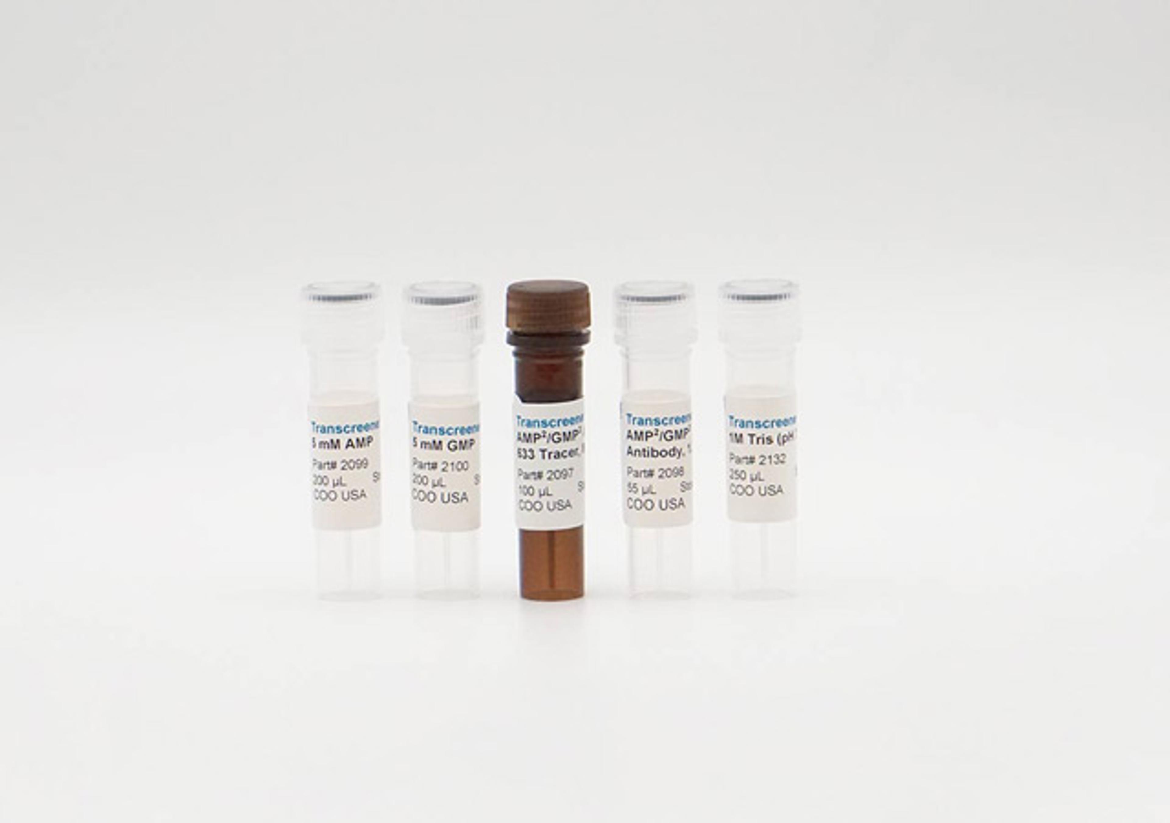 FP AMP/GMP Phosphodiesterase