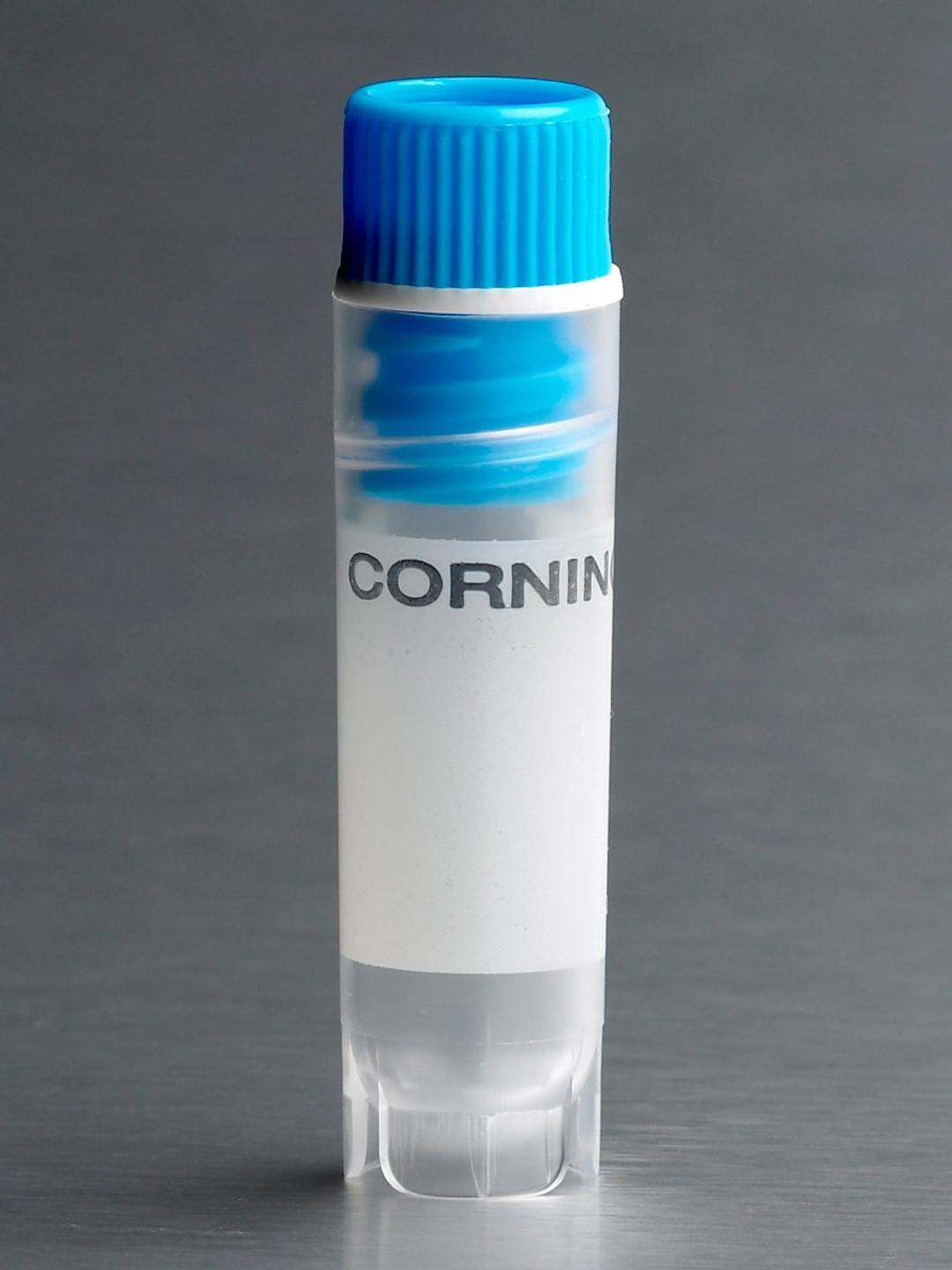 Corning® 2 mL Blue Cap Internal Threaded Polypropylene Cryogenic Vial, Self-Standing with Round Bottom - Corning Life Sciences - Life Sciences