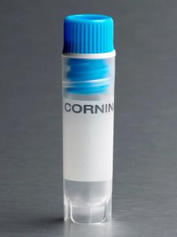 Corning® 2 mL Blue Cap Internal Threaded Polypropylene Cryogenic Vial, Self-Standing with Round Bottom - Corning Life Sciences - Life Sciences
