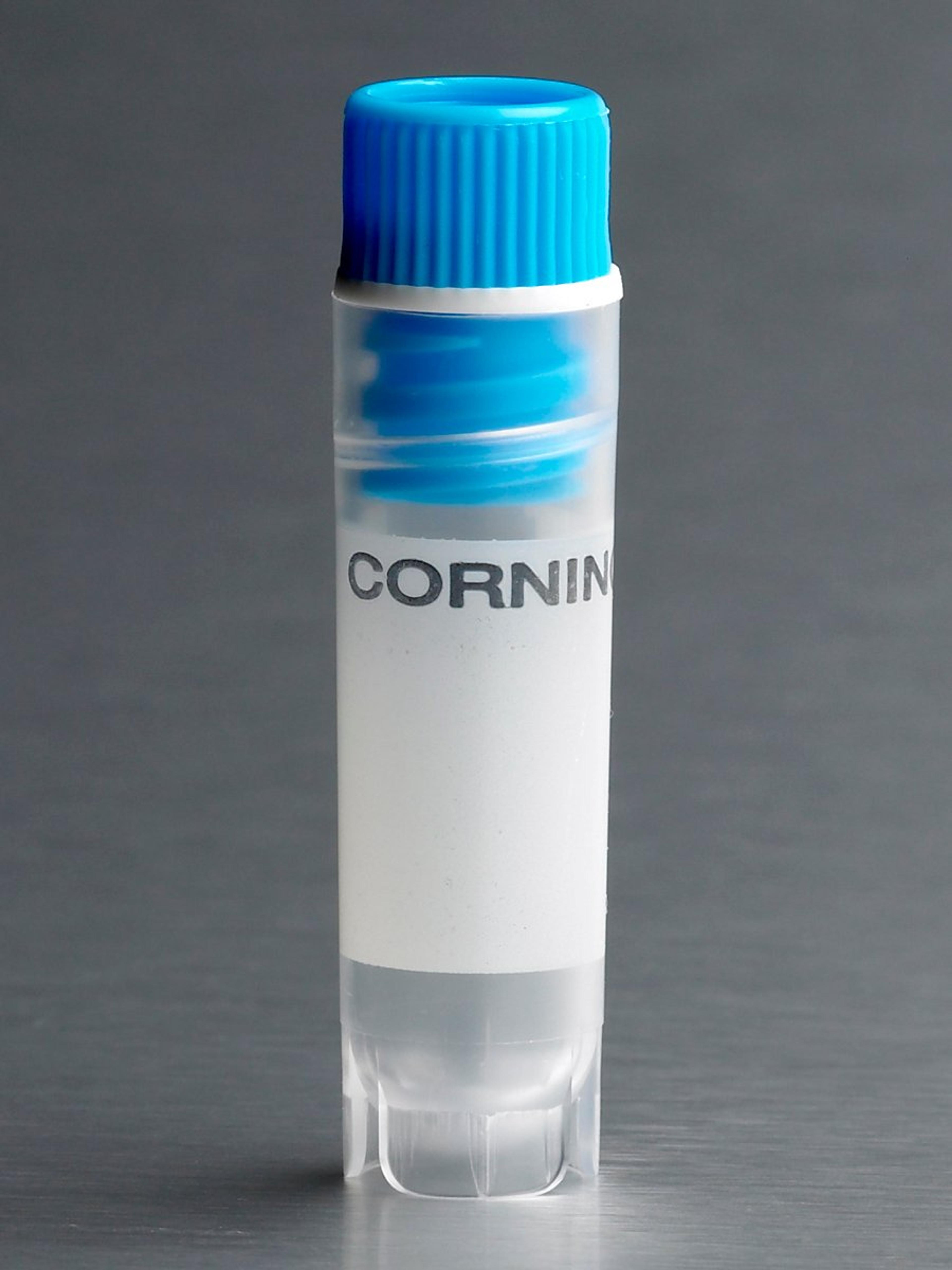 Corning® 2 mL Blue Cap Internal Threaded Polypropylene Cryogenic Vial, Self-Standing with Round Bottom - Corning Life Sciences - Life Sciences