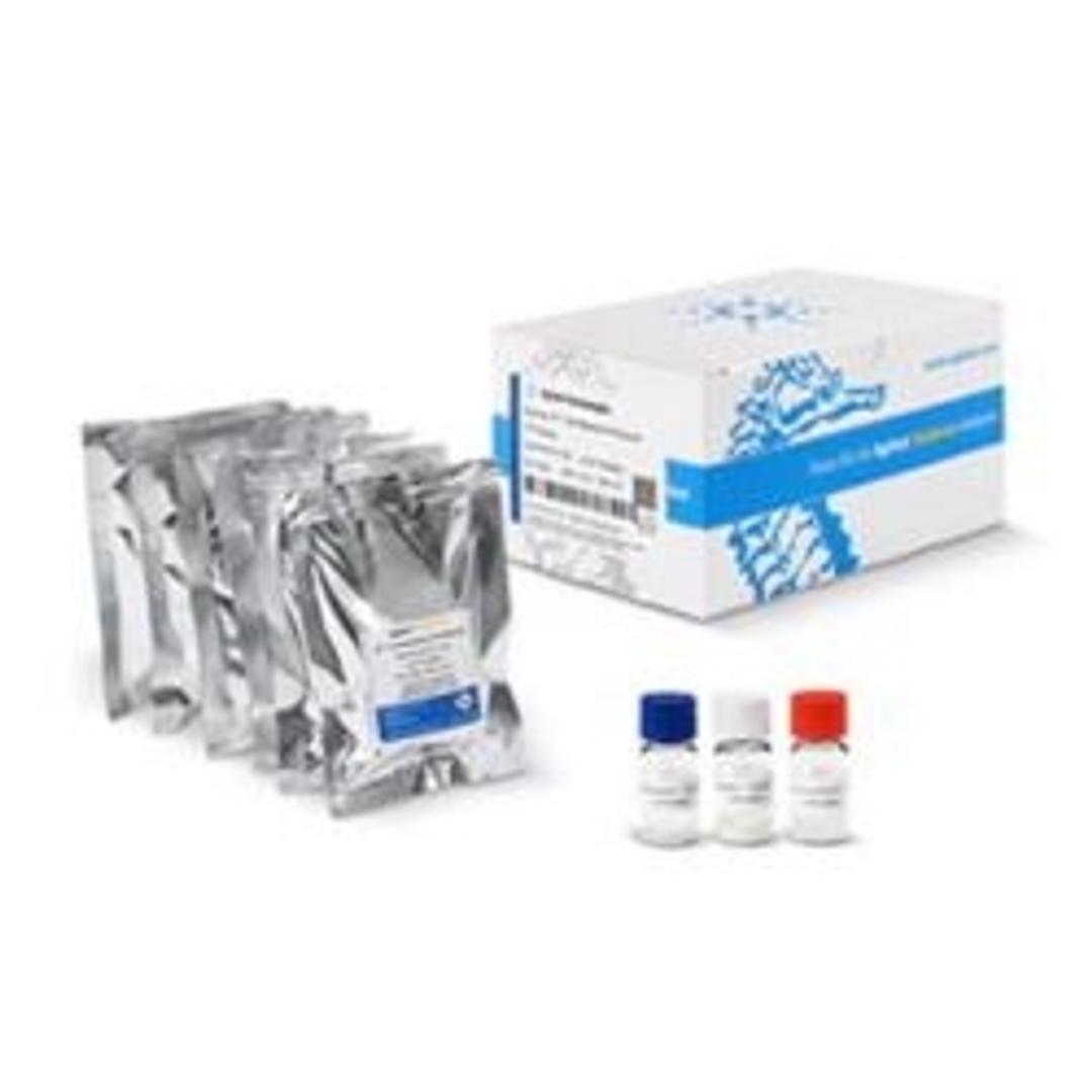 Seahorse XF T Cell Metabolic Profiling Kit - Agilent Technologies - Life Sciences