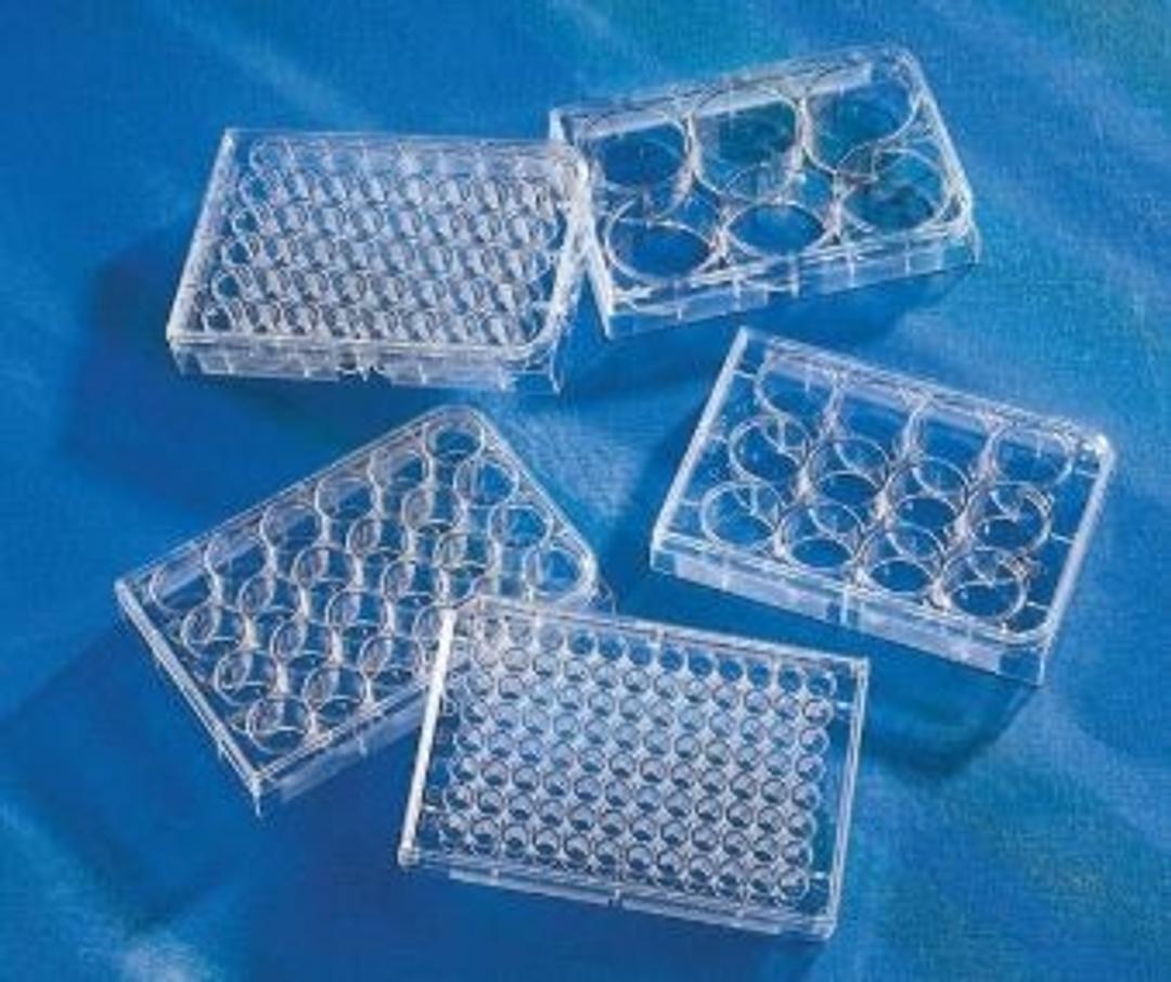 Corning Costar 96-Well, Cell Culture-Treated Flat-Bottom Microplate - Corning Life Sciences - Life Sciences