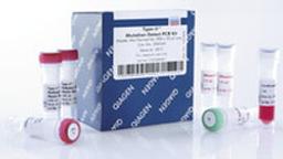 Type-it Mutation Detect PCR Kit (200) - QIAGEN