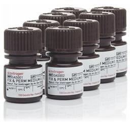 Invitrogen™ FIX & PERM™ Cell Permeabilization Kit - Thermo Fisher Scientific - Life Sciences