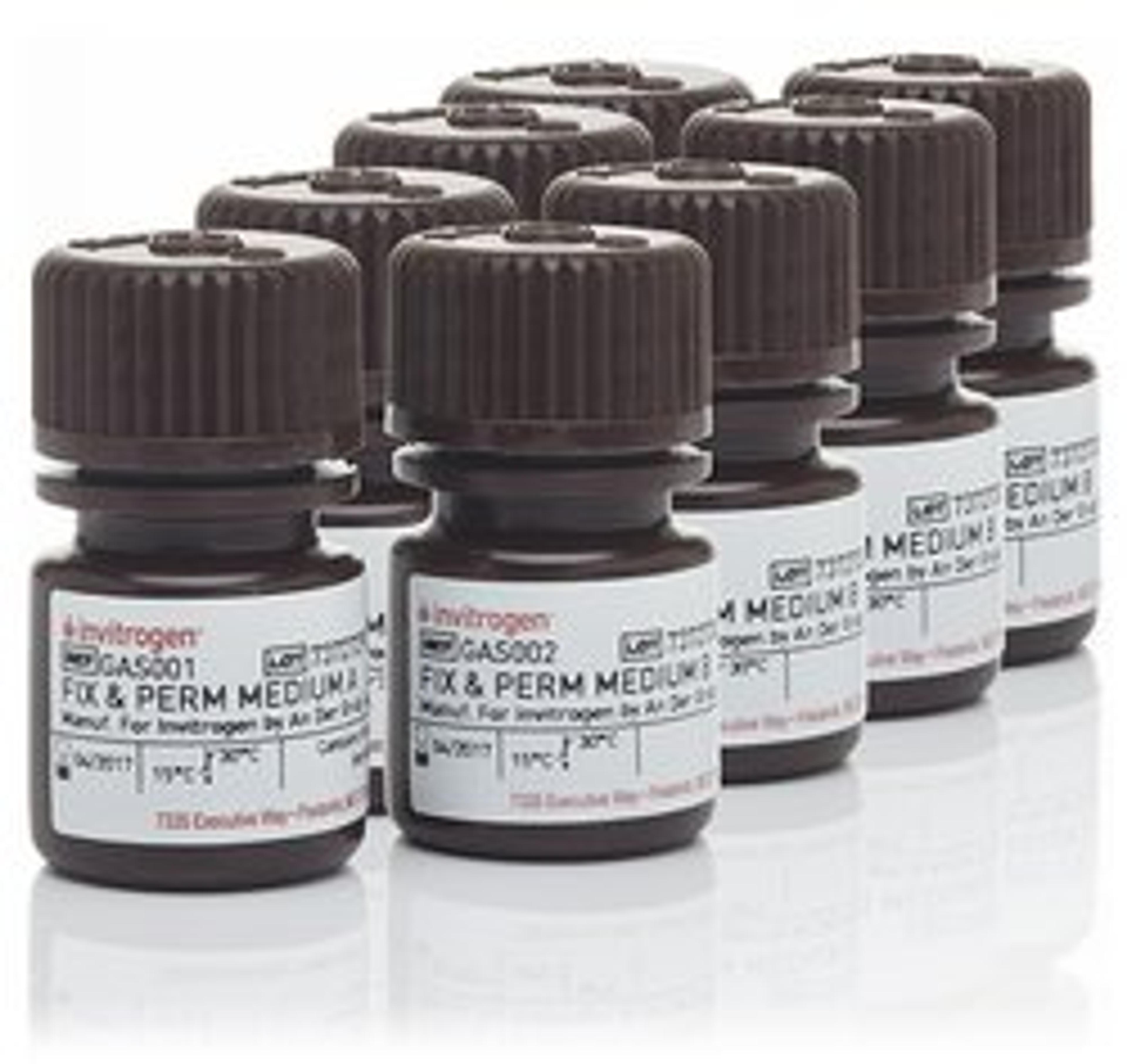 Invitrogenâ„¢ FIX & PERMâ„¢ Cell Permeabilization Kit - Thermo Fisher Scientific - Life Sciences
