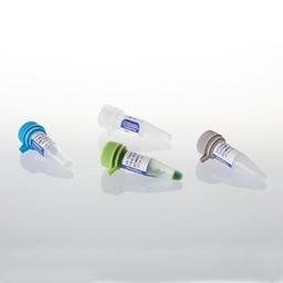 GoTaq® MDx DNA Polymerase - Promega Corp. - Life Sciences