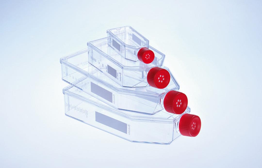 CELLSTAR® Filter Cap Cell Culture Flasks - Greiner Bio-One GmbH  - Life Sciences
