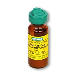 Rabbit Anti-Goat IgG (H+L)-HRP Conjugate - Bio-Rad - Life Sciences
