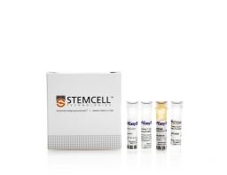 EasySep™ Human FITC Positive Selection Kit II - STEMCELL Technologies Inc. - Life Sciences