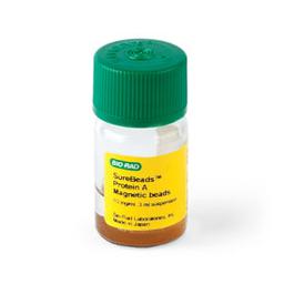 SureBeads™ Protein A Magnetic Beads, 3 ml - Bio-Rad - Life Sciences