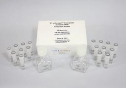 T7 mScript™ Complete Standard mRNA Production System - CELLSCRIPT™ - Life Sciences
