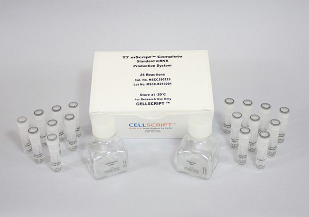 T7 mScript™ Complete Standard mRNA Production System - CELLSCRIPT™ - Life Sciences