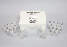 T7 mScript™ Complete Standard mRNA Production System - CELLSCRIPT™ - Life Sciences