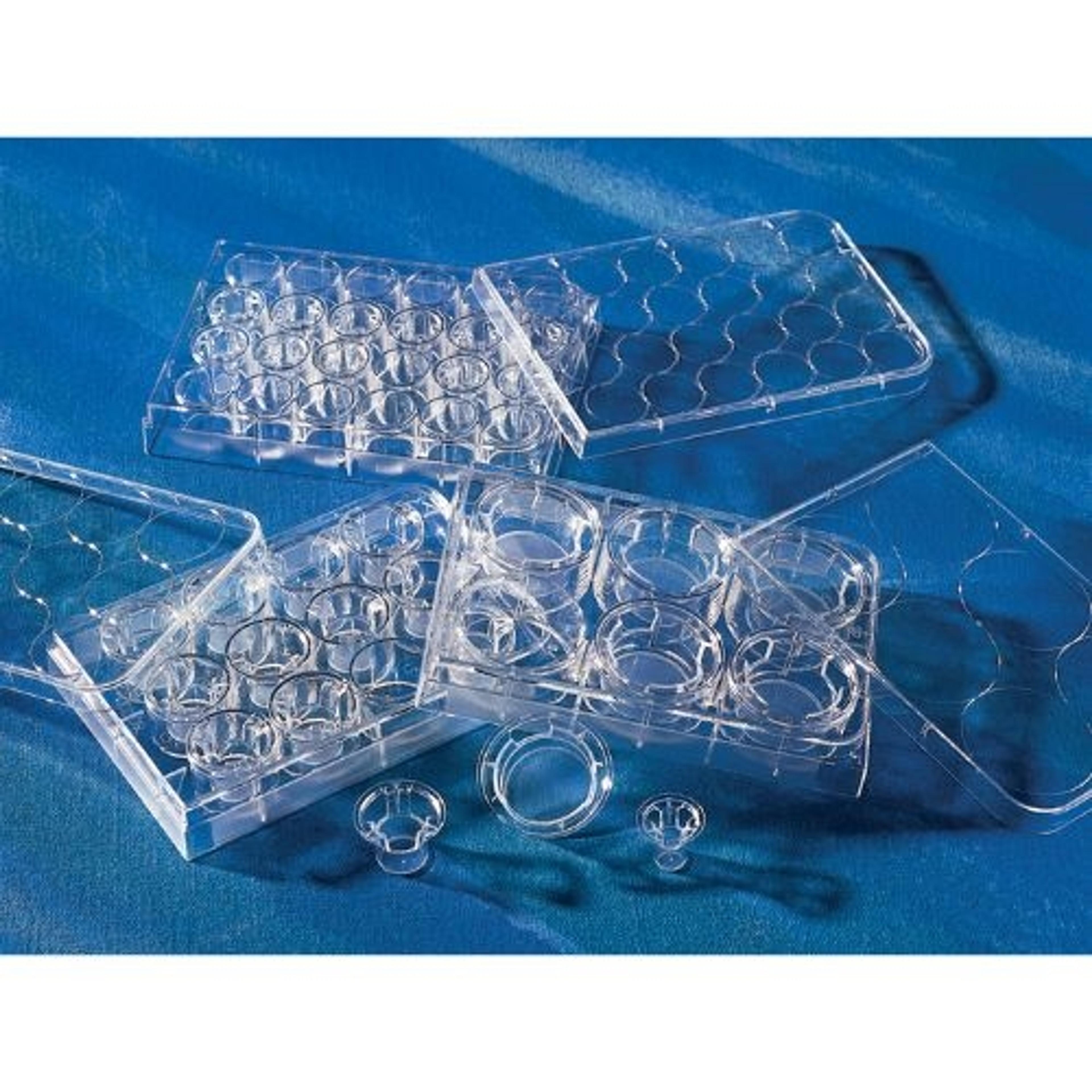 6.5 mm Transwell® with 8.0 µm Pore Polyester Membrane Insert, Sterile - Corning Life Sciences - Life Sciences