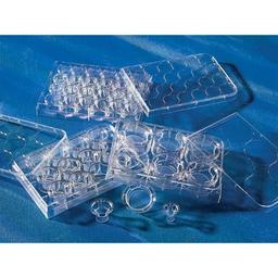 6.5 mm Transwell® with 8.0 µm Pore Polyester Membrane Insert, Sterile - Corning Life Sciences - Life Sciences