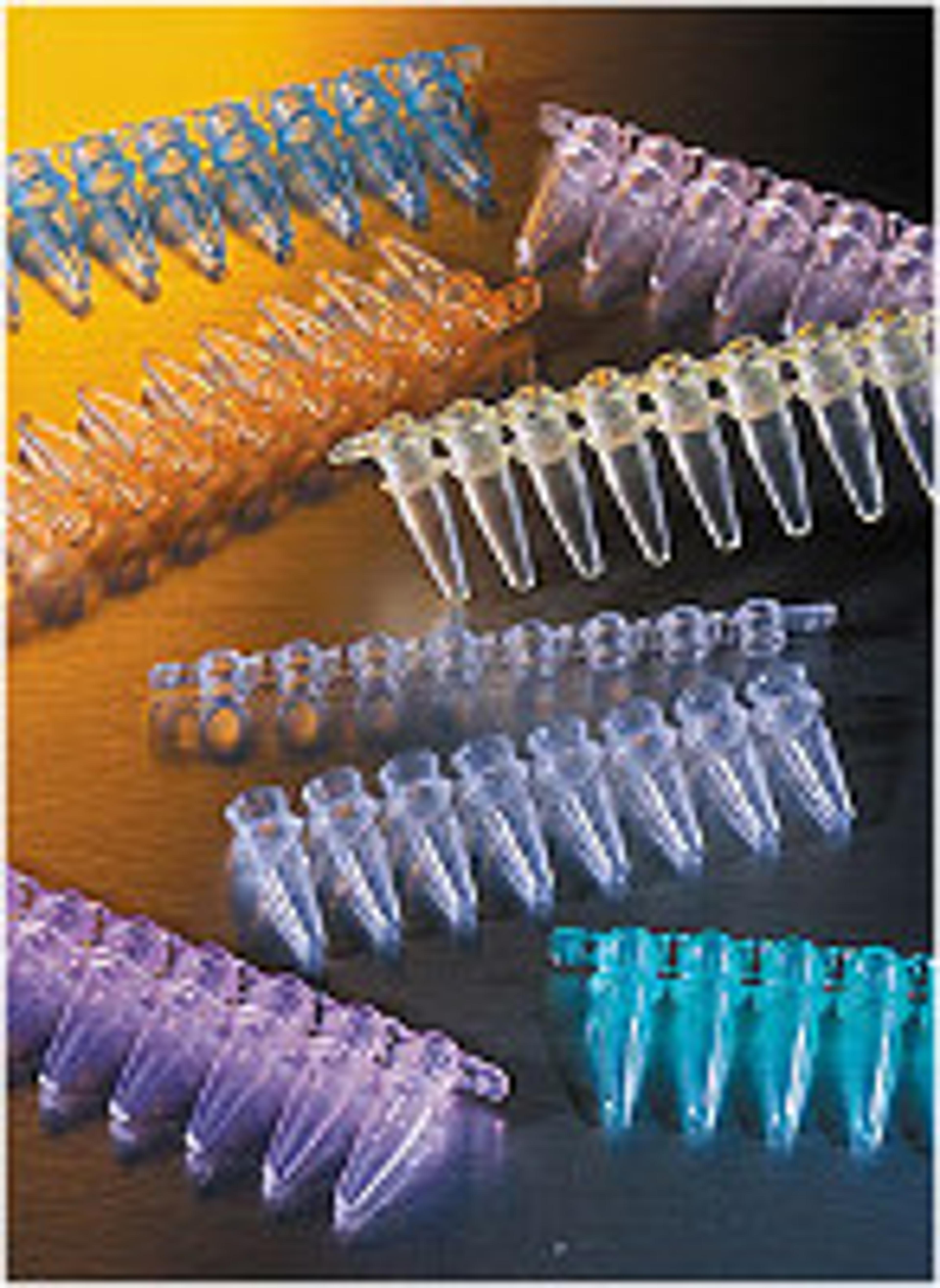 0.2 mL Clear Polypropylene PCR Tubes, 8-well Strips - Corning Life Sciences - Life Sciences