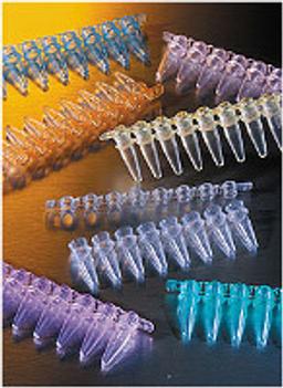 0.2 mL Polypropylene PCR Tubes, Assorted Colors, 8-well Strips - Corning Life Sciences - Life Sciences