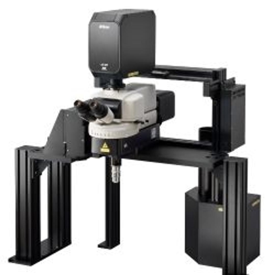 AX/AXR MP Multiphoton Confocal Microscope - Nikon Healthcare Business – Microscope Solutions - Life Sciences