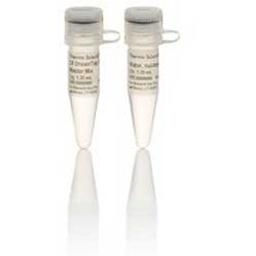 DreamTaq™ Hot Start PCR Master Mix - Thermo Fisher Scientific - Life Sciences