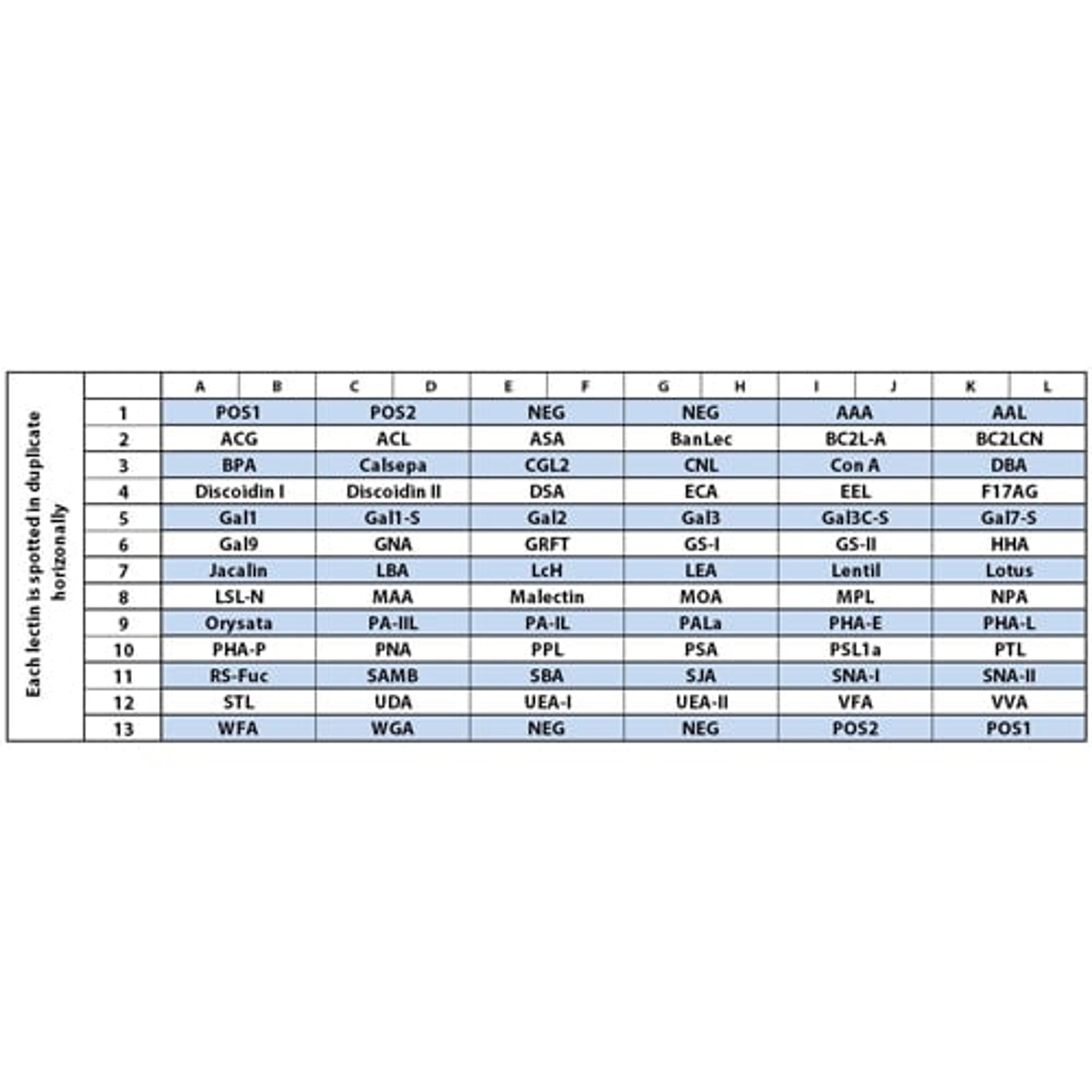 Lectin Array 70 - RayBiotech Inc. - Life Sciences