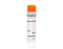 Puromycin-Resistant Mouse Embryonic Fibroblasts, Day E13.5 - STEMCELL Technologies Inc. - Life Sciences