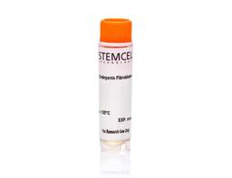 Puromycin-Resistant Mouse Embryonic Fibroblasts, Day E13.5 - STEMCELL Technologies Inc. - Life Sciences