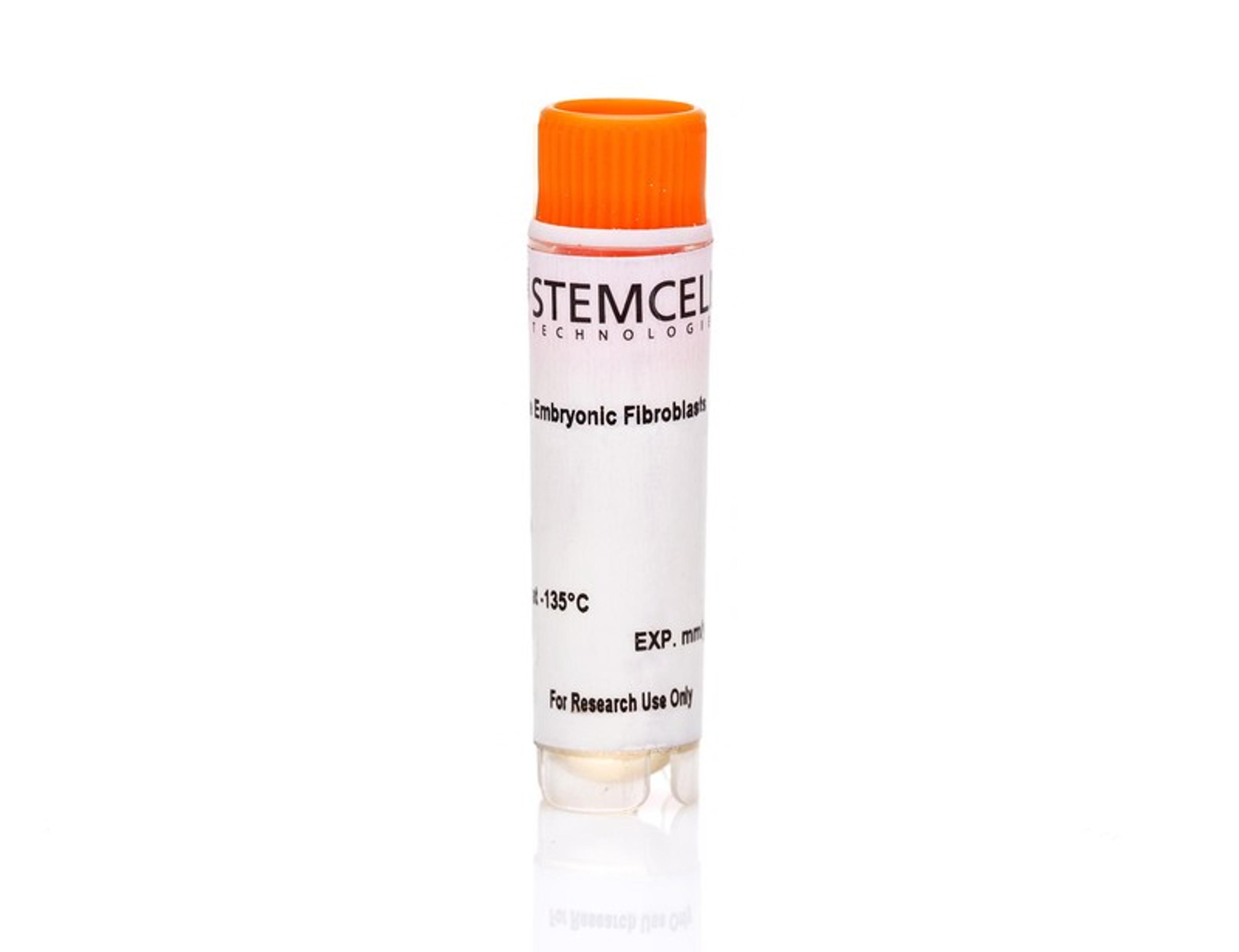 Neomycin-Resistant Mouse Embryonic Fibroblasts, Day E13.5 - STEMCELL Technologies Inc. - Life Sciences