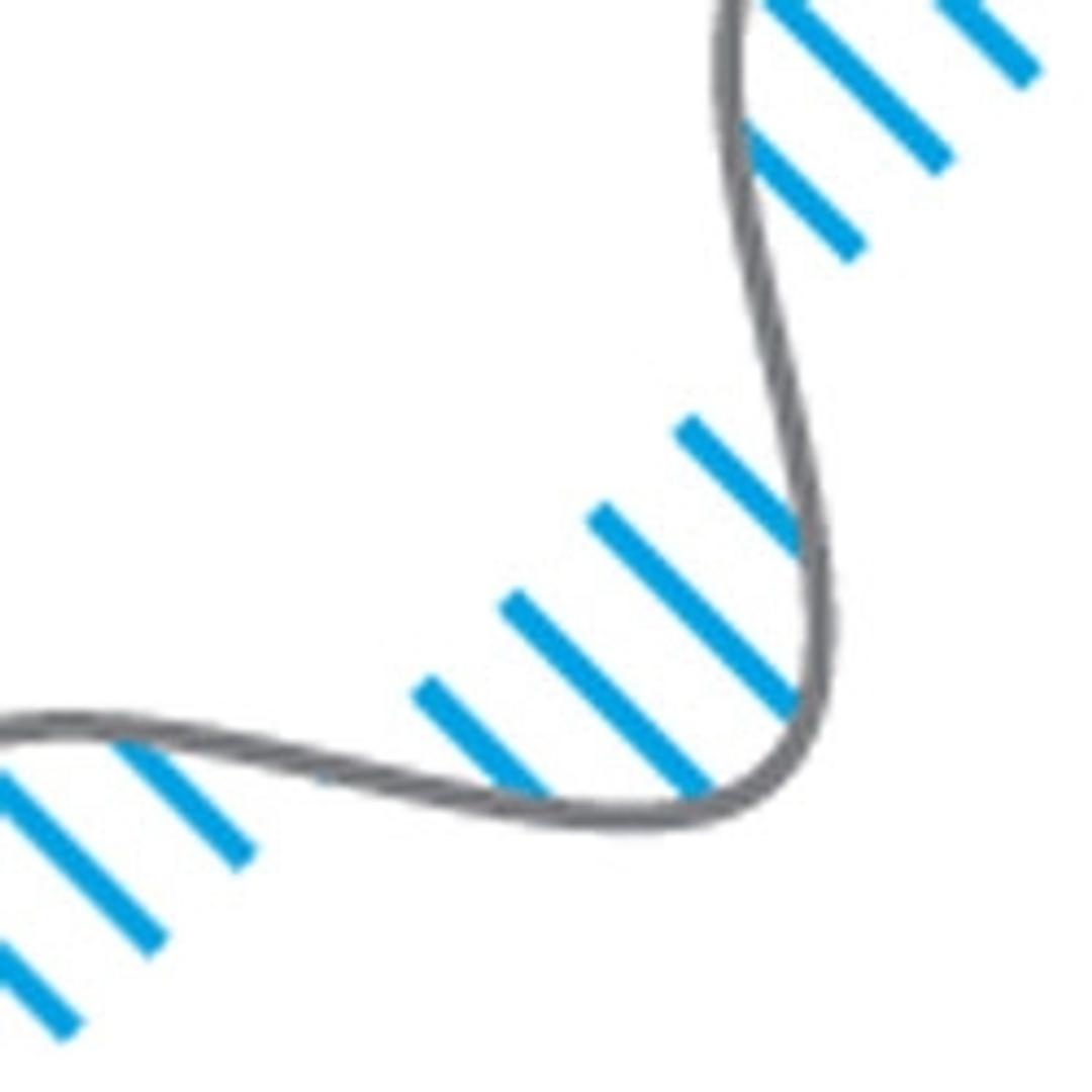 KAPA Stranded RNA-Seq with RiboErase - Kapa Biosystems, Inc. - Life Sciences