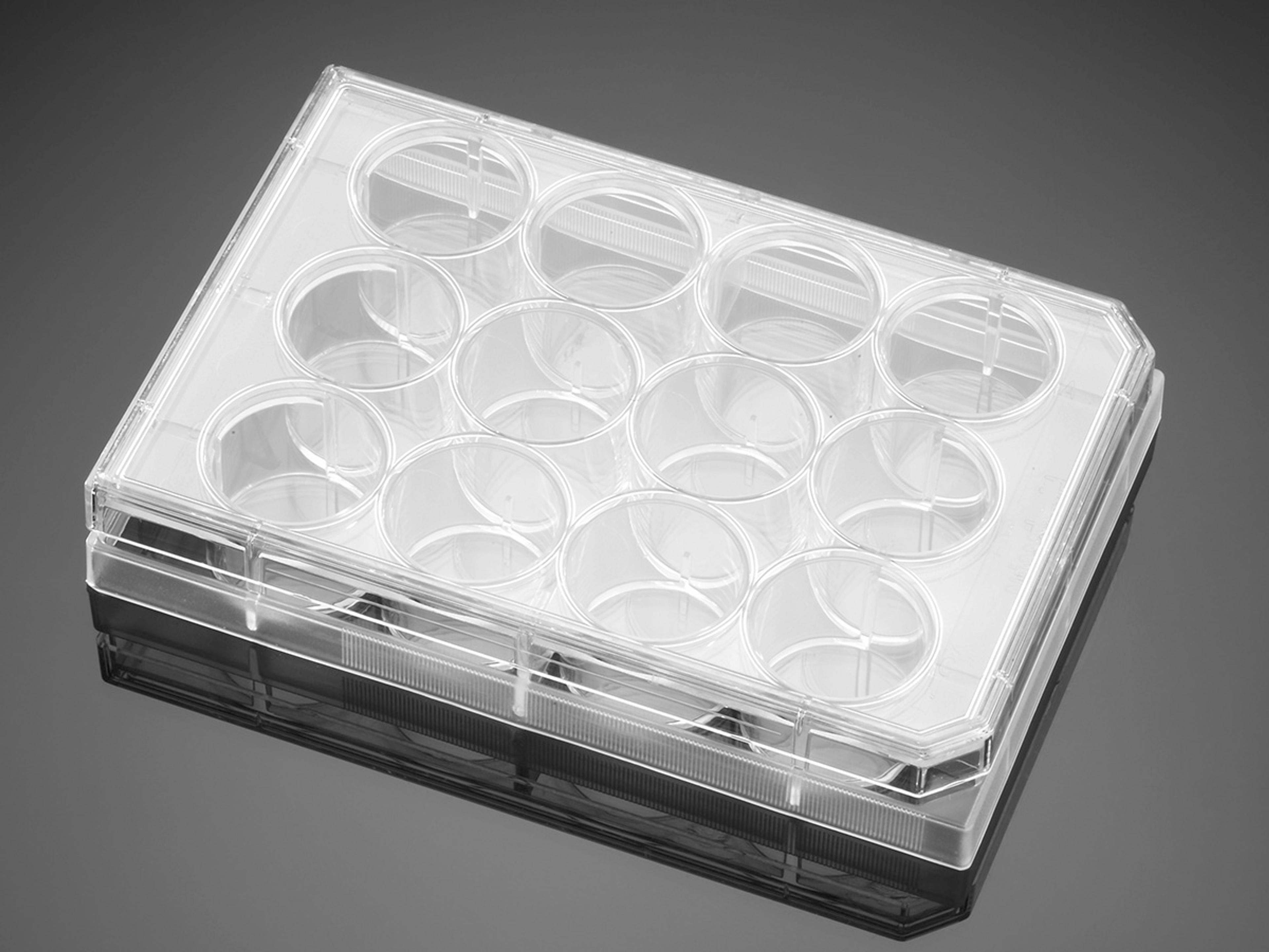 Falcon® 12-well Clear Flat Bottom Not Treated Multiwell Cell Culture Plate, with Lid, Individually Wrapped, Sterile, 50/Case - Corning Life Sciences - Life Sciences