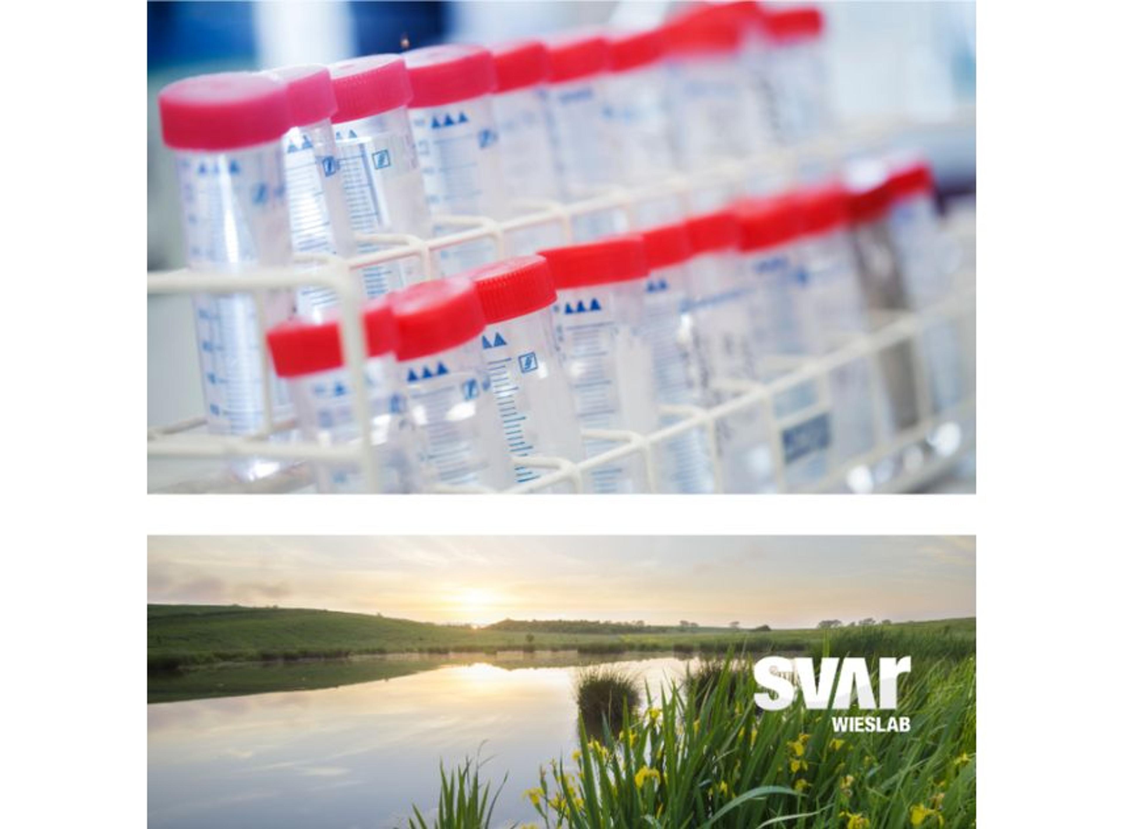 Therapeutic Drug Monitoring  - Svar Life Science AB - Clinical Diagnostics