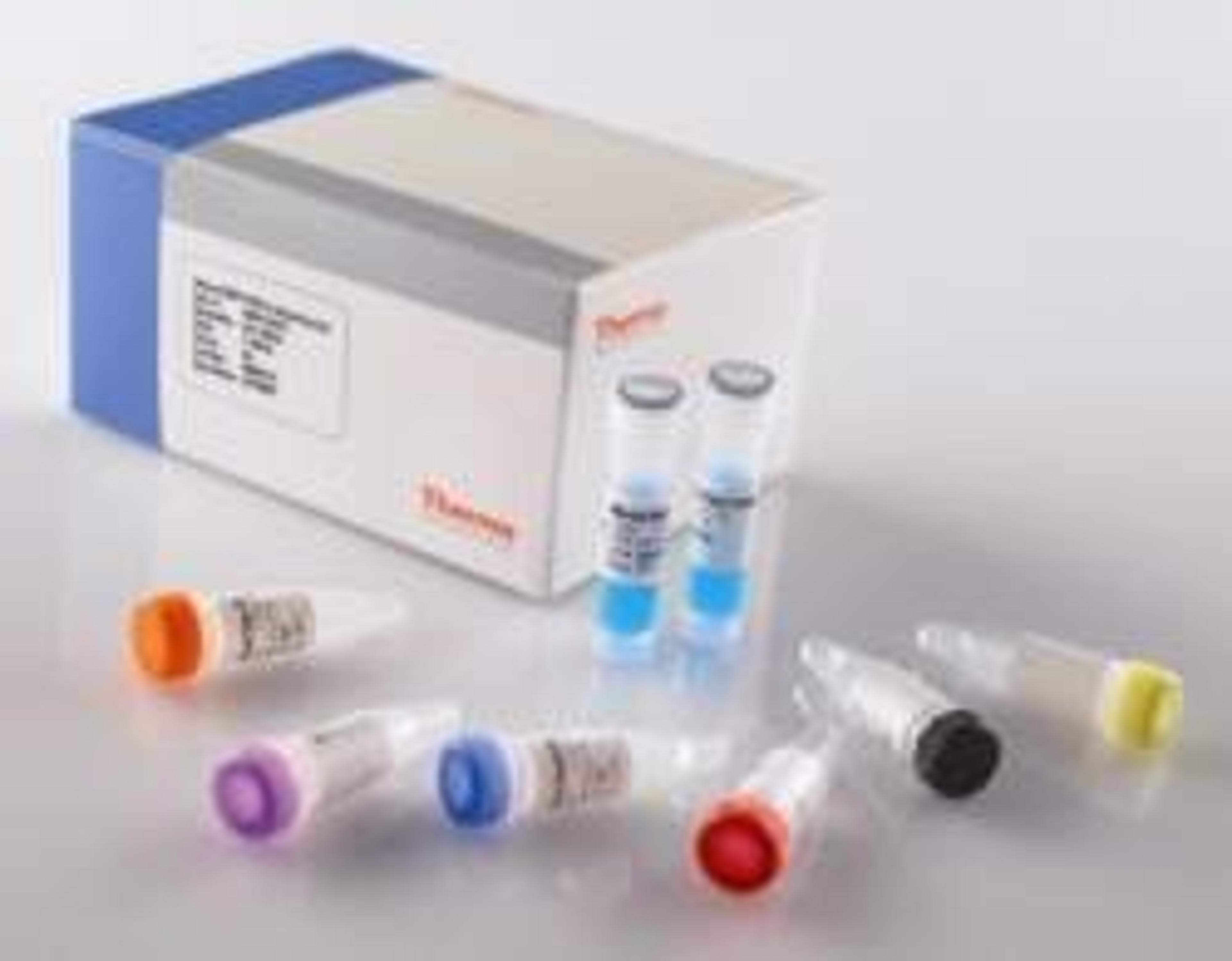 Thermo Scientific Verso 1-step qRT-PCR SYBR Green Kits - Thermo Fisher Scientific - Life Sciences