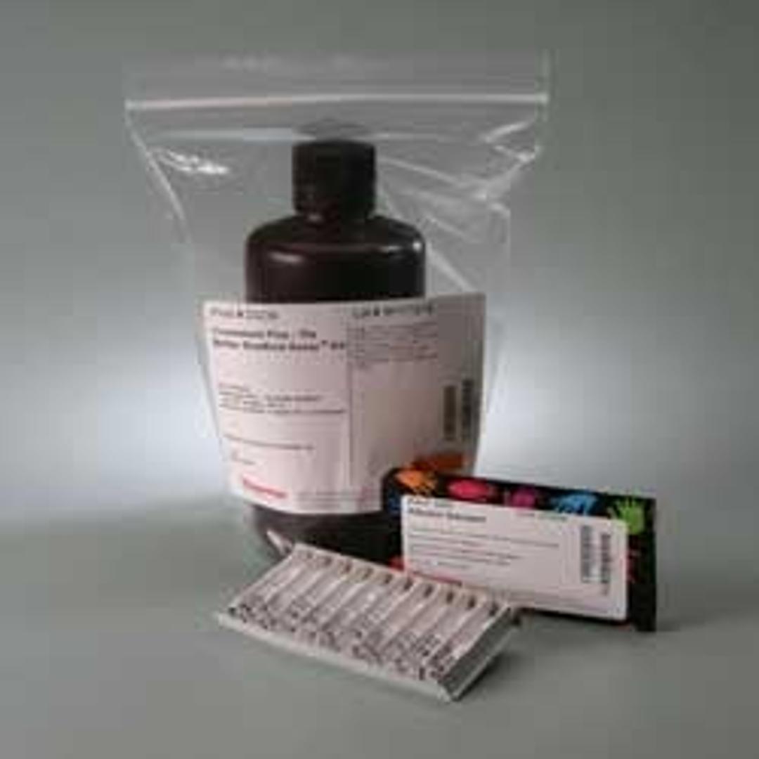Pierce™ Coomassie Plus (Bradford) Assay Kit - null