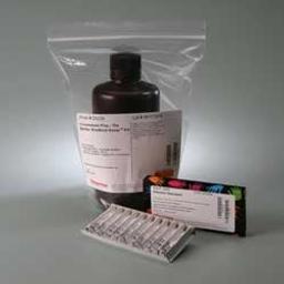 Pierce™ Coomassie Plus (Bradford) Assay Kit - null