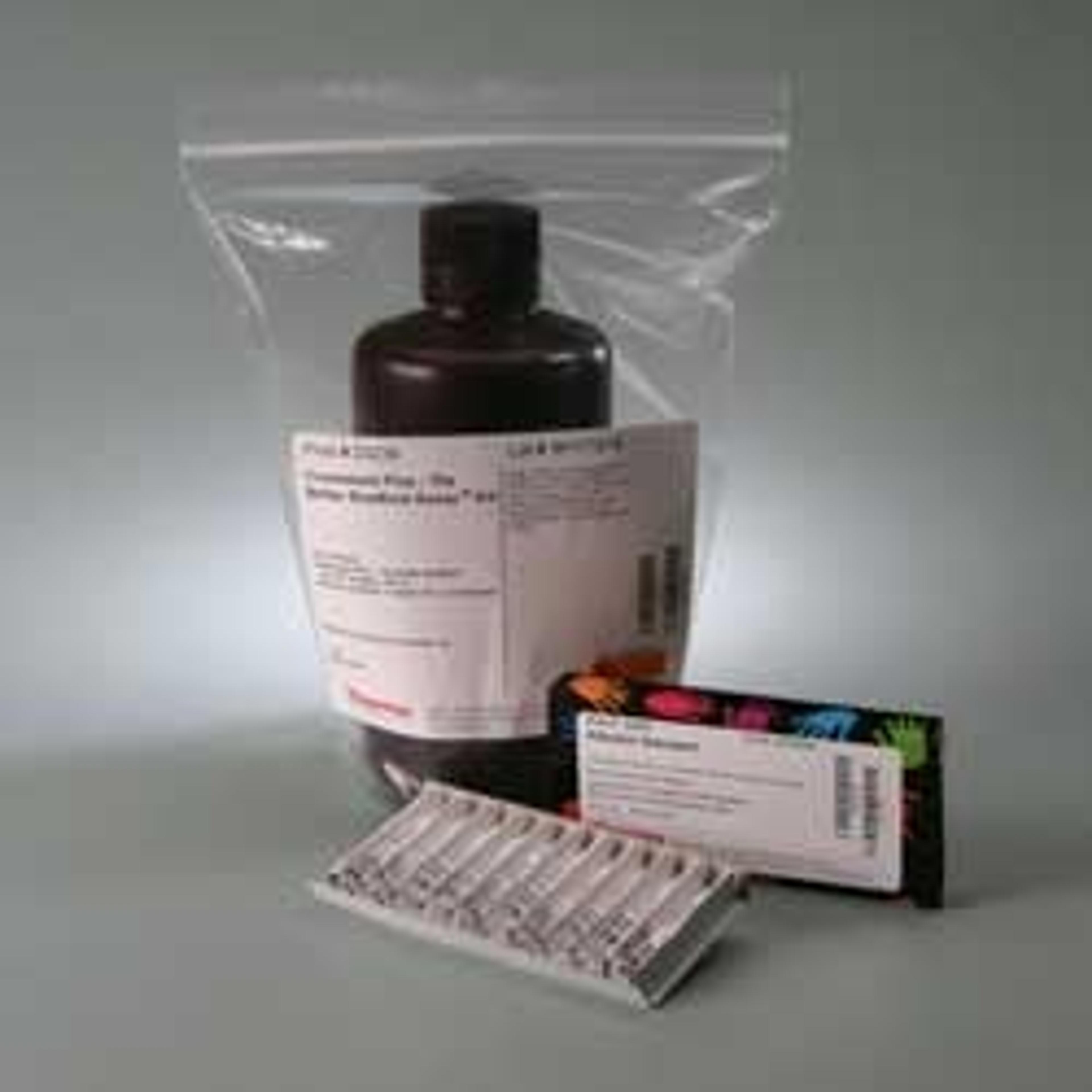 Pierce™ Coomassie Plus (Bradford) Assay Kit - null