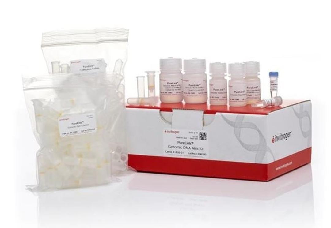 PureLink™ Genomic DNA Mini Kit - Thermo Fisher Scientific - Clinical Diagnostics