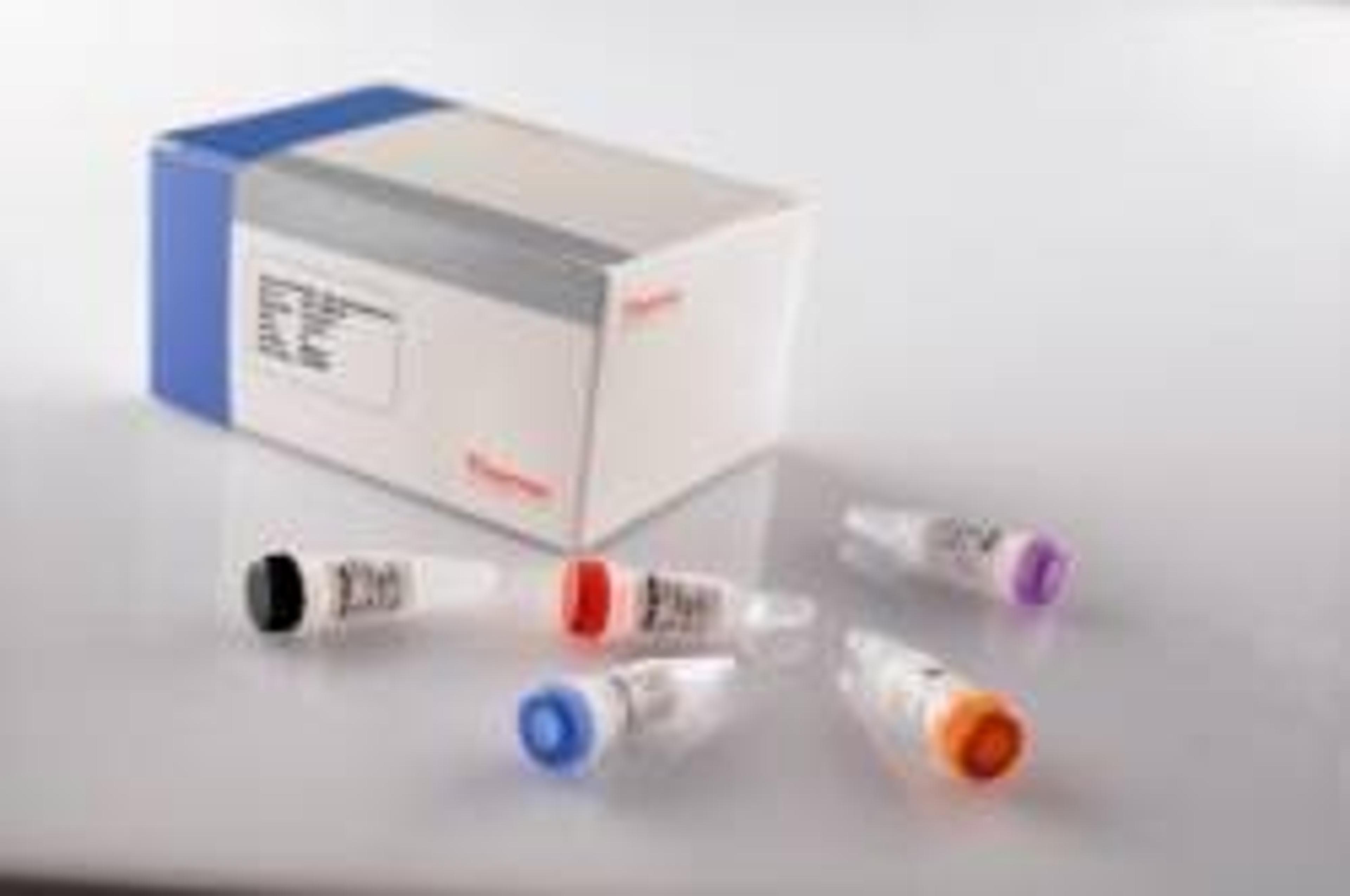 Thermo Scientific Verso cDNA Synthesis Kits - Thermo Fisher Scientific - Life Sciences