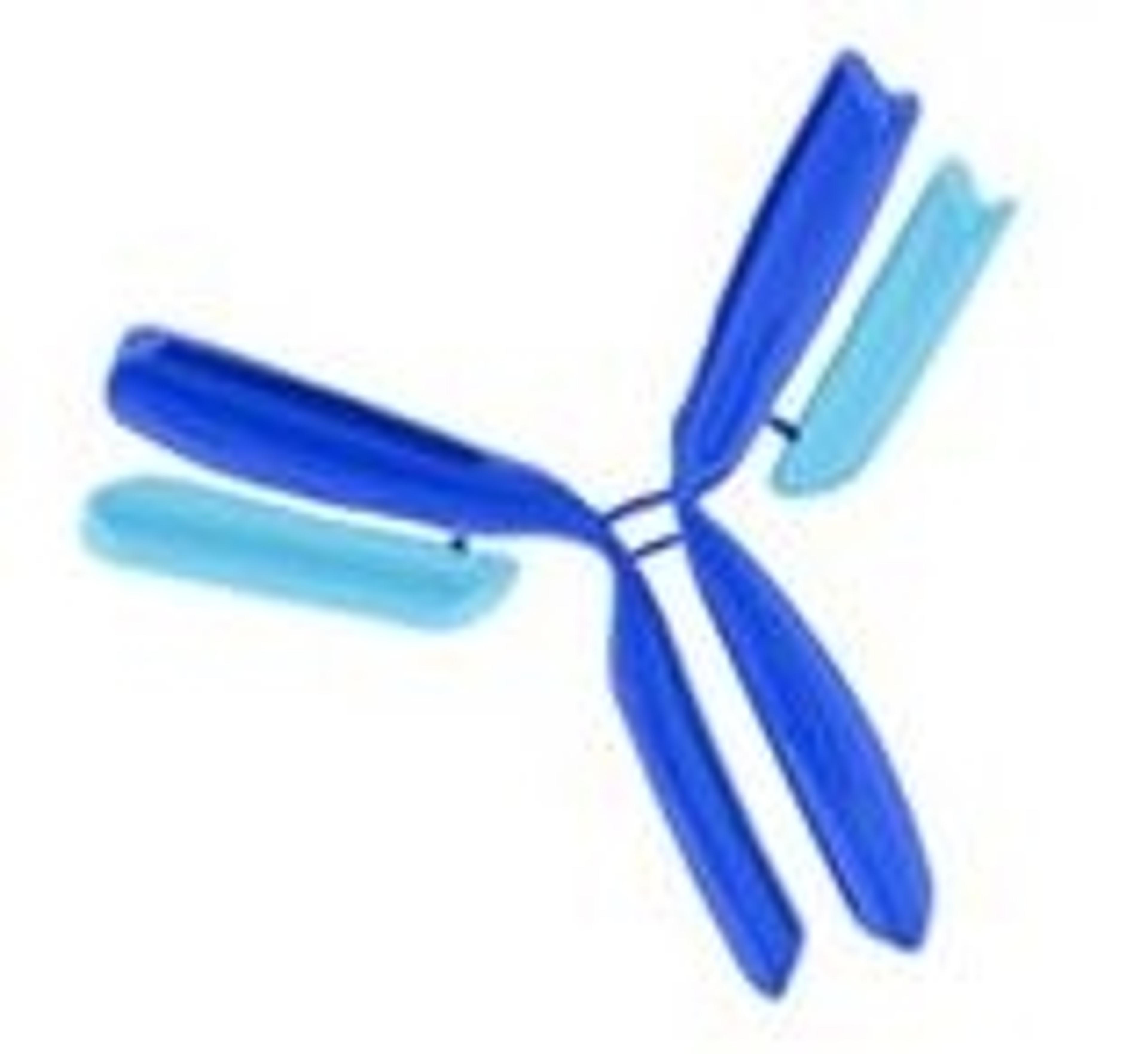 Goat Serum, 100 ml - Merck - Life Sciences