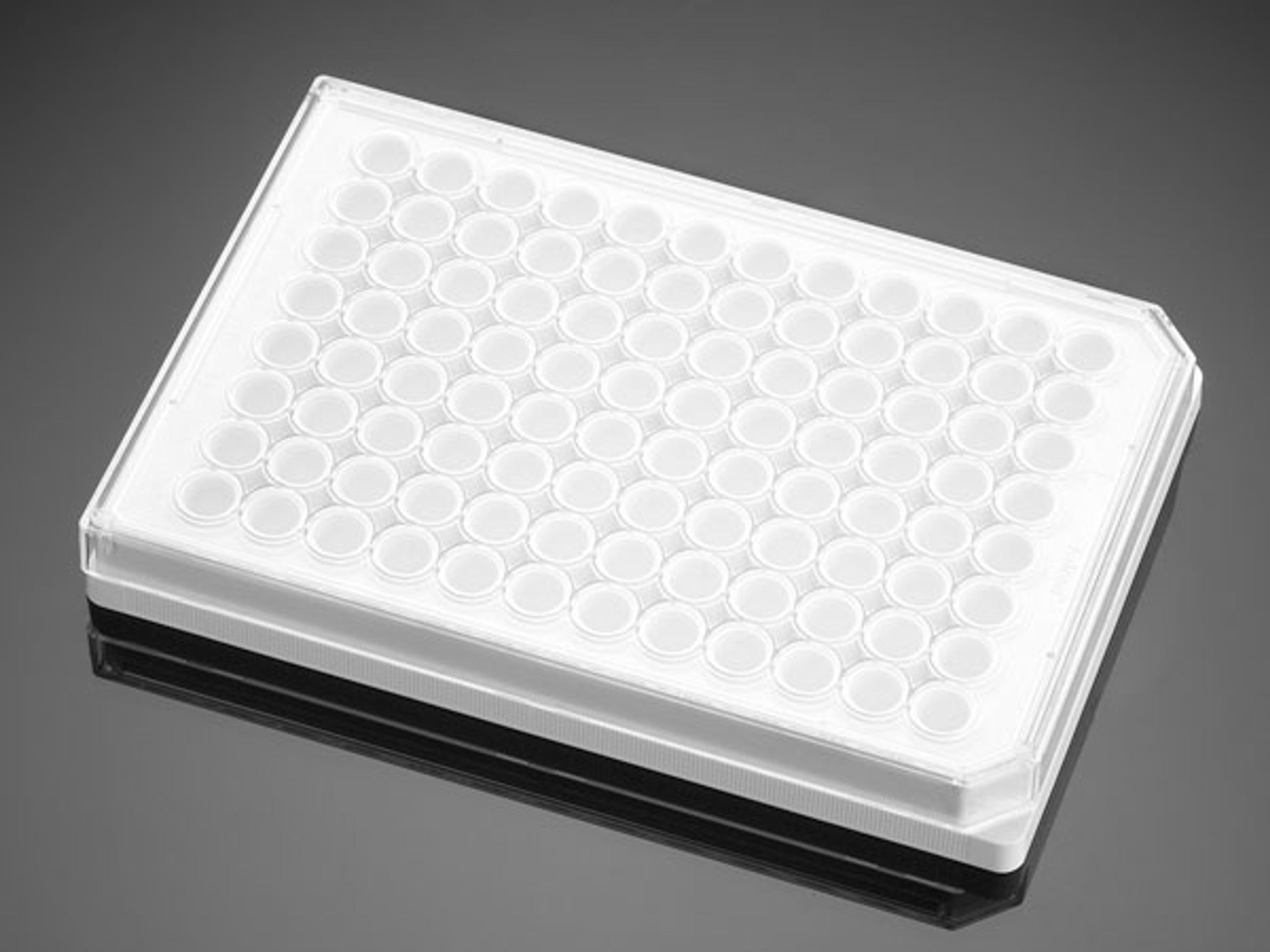 Corning® BioCoat® Poly-D-Lysine 96-well White Flat Bottom Microplate, with Lid, 20/Pack, 80/Case - Corning Life Sciences - Life Sciences