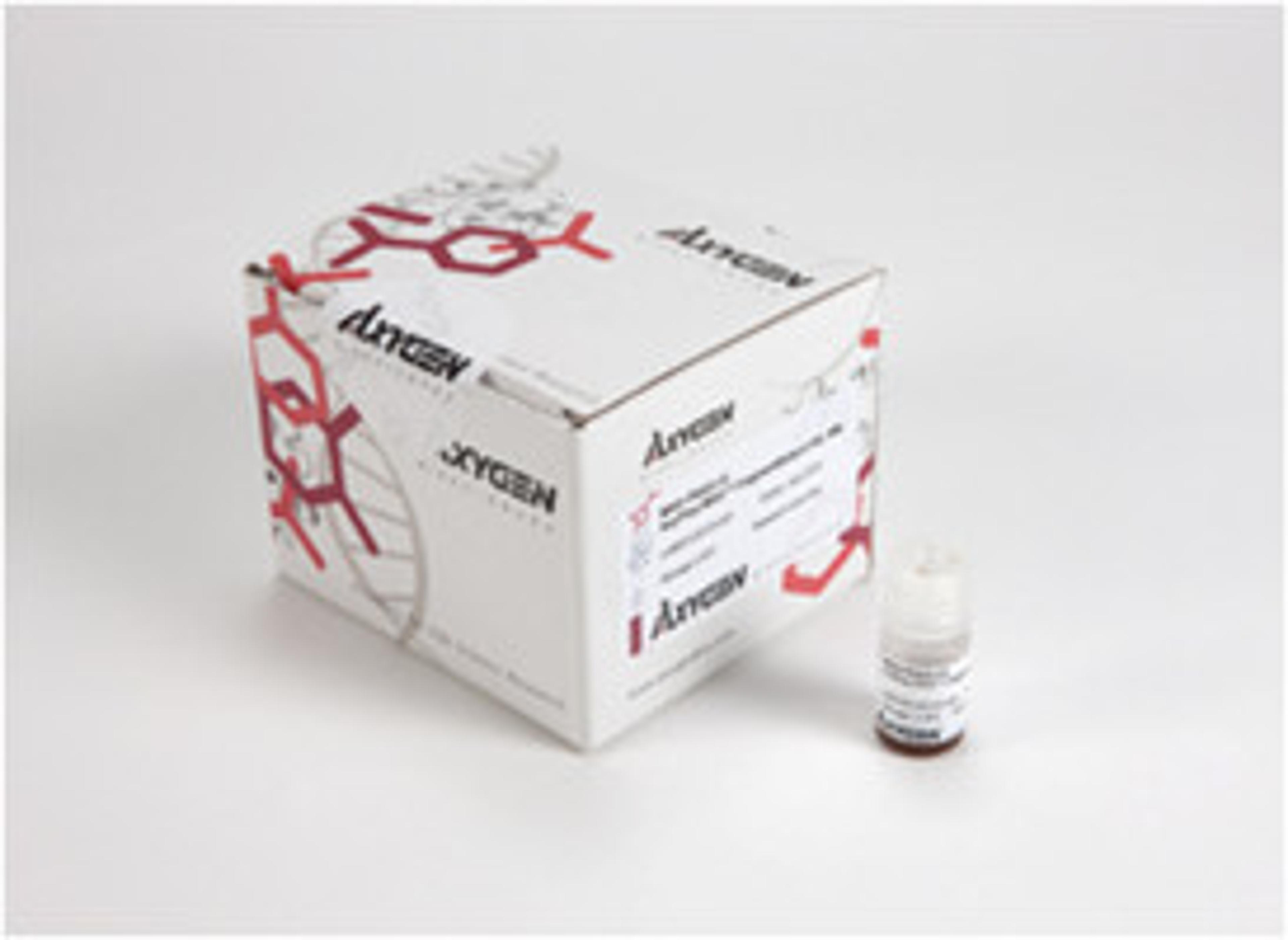 Axygen® AxyPrep FragmentSelect-I Kit - Corning Life Sciences - Life Sciences