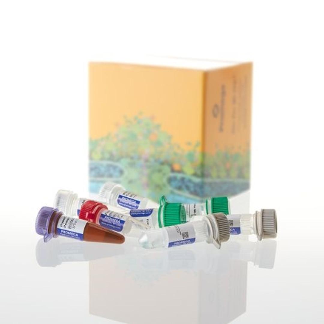 PowerQuant® System - Promega Corp. - Life Sciences