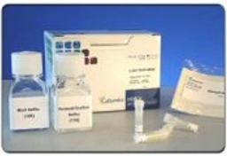 HitKit® HCS Reagent Kit for c-Jun Activation - null