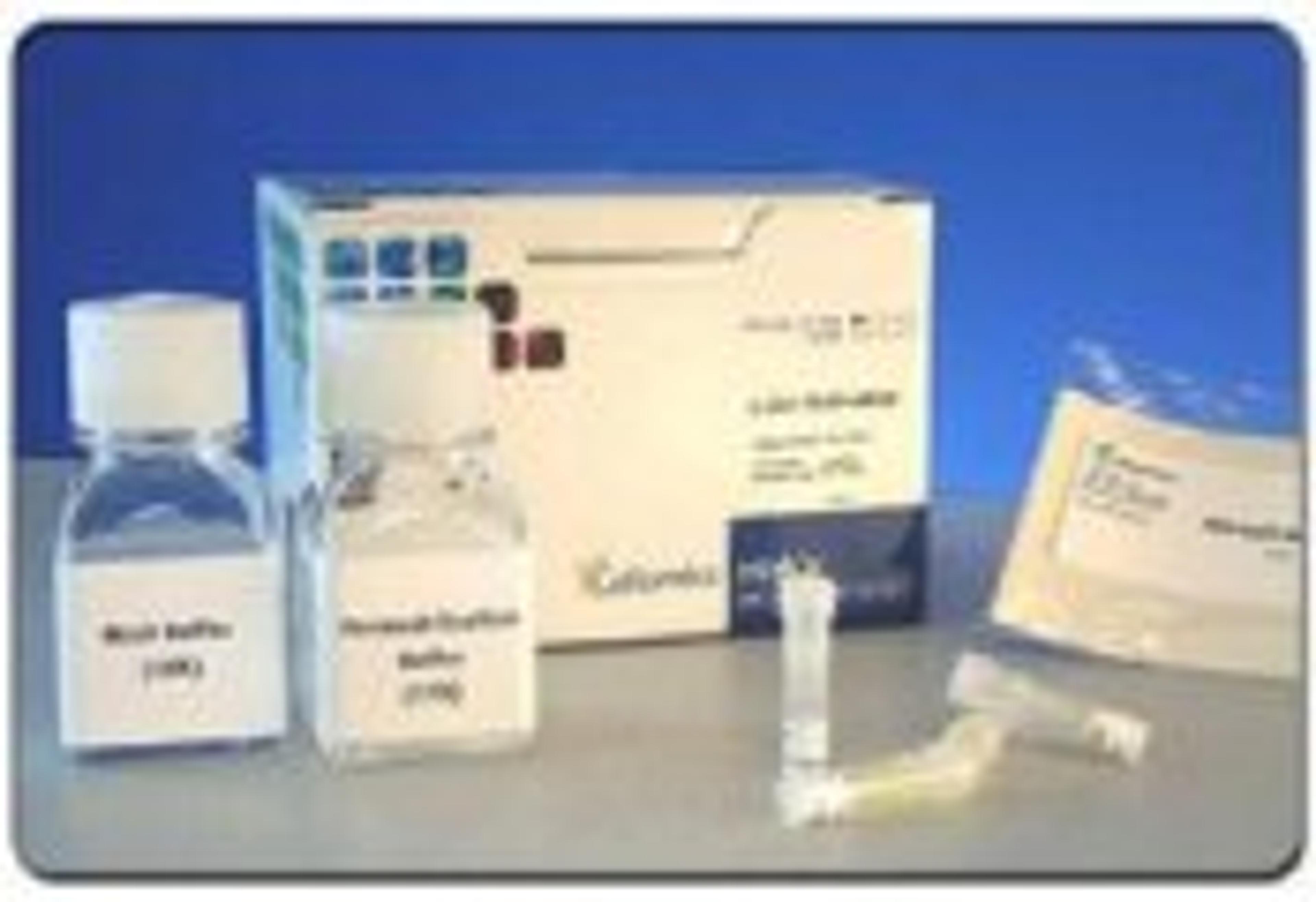 HitKit® HCS Reagent Kit for c-Jun Activation - null