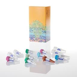 GoTaq® Probe 2-Step RT-qPCR System - Promega Corp. - Life Sciences