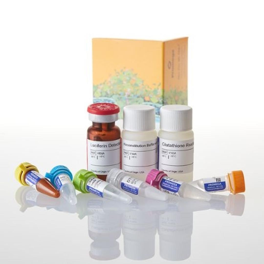GSH/GSSG-Glo™ Assay - Promega Corp. - Life Sciences