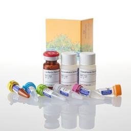 GSH/GSSG-Glo™ Assay - Promega Corp. - Life Sciences