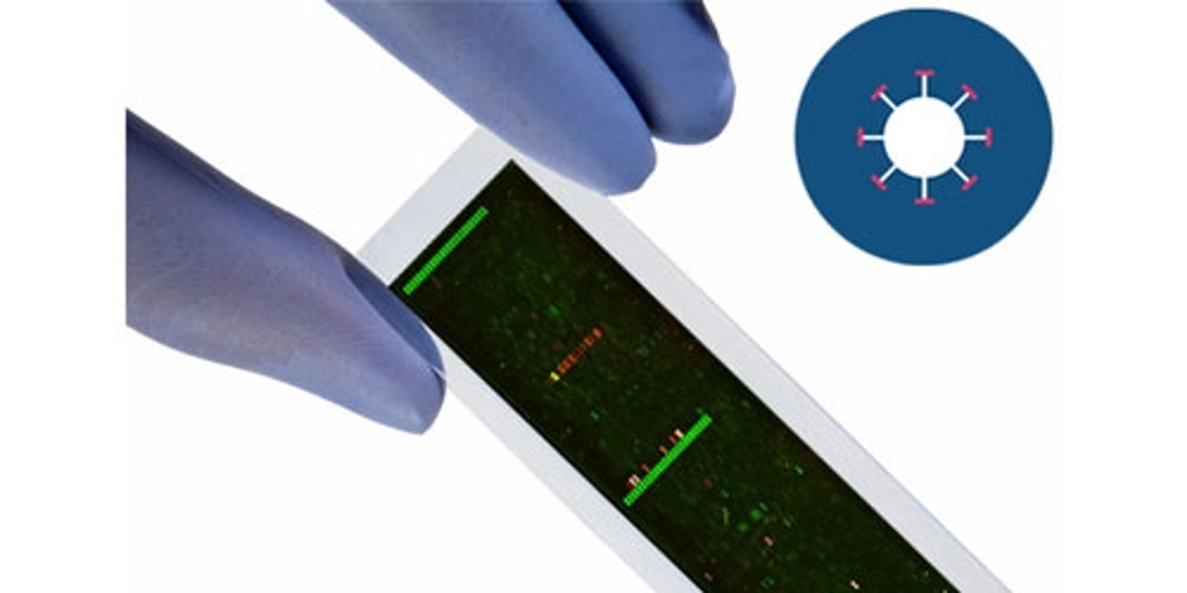 PEPperCHIP® Infectious Disease Epitope Microarray - PEPperPRINT GmbH - Life Sciences