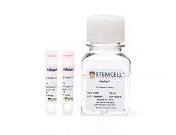RosetteSep™ Human Cord Blood Progenitor Enrichment Kit - STEMCELL Technologies Inc. - Life Sciences